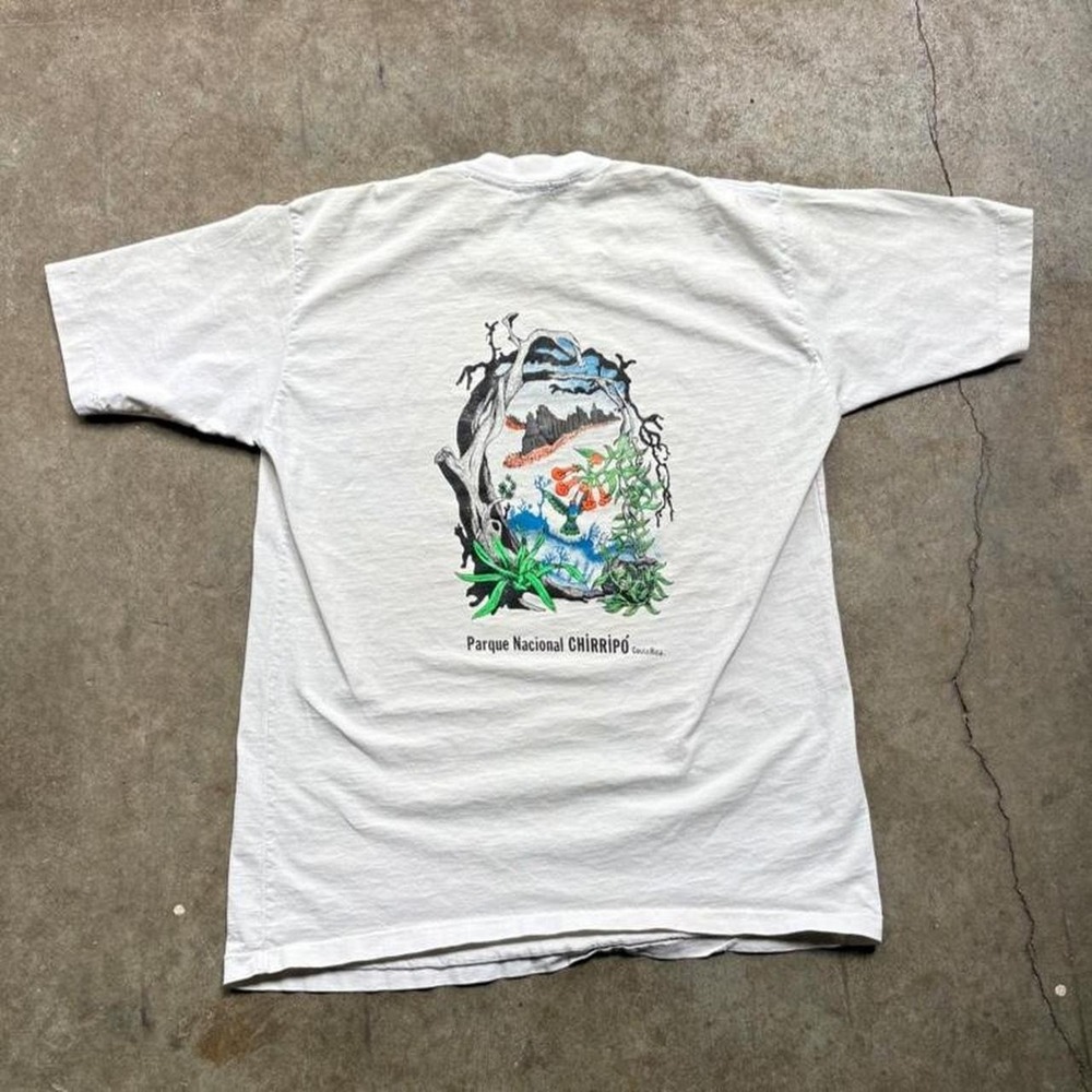Vintage 80s single stitch Costa Rica National Park Chirripo t-shirt mens Medium